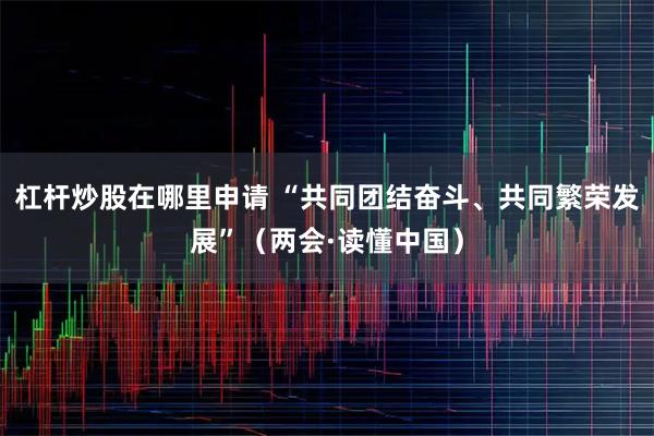 杠杆炒股在哪里申请 “共同团结奋斗、共同繁荣发展”(两会·读懂中国)